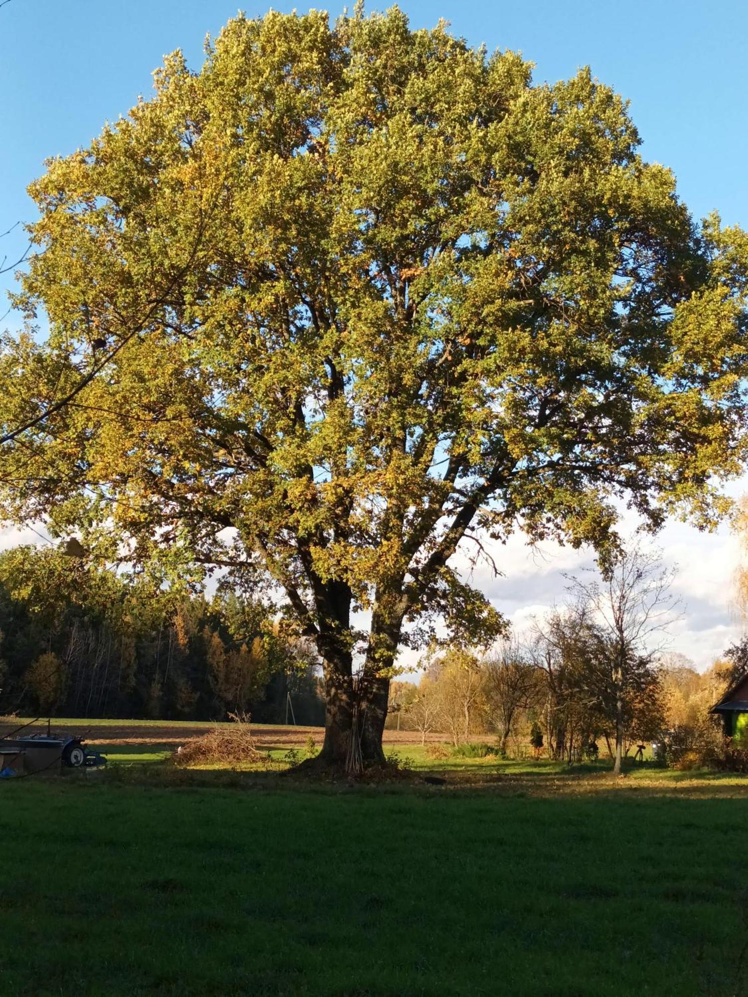 Malinada-Kaimo Sodyba Villa Salcininkai Esterno foto